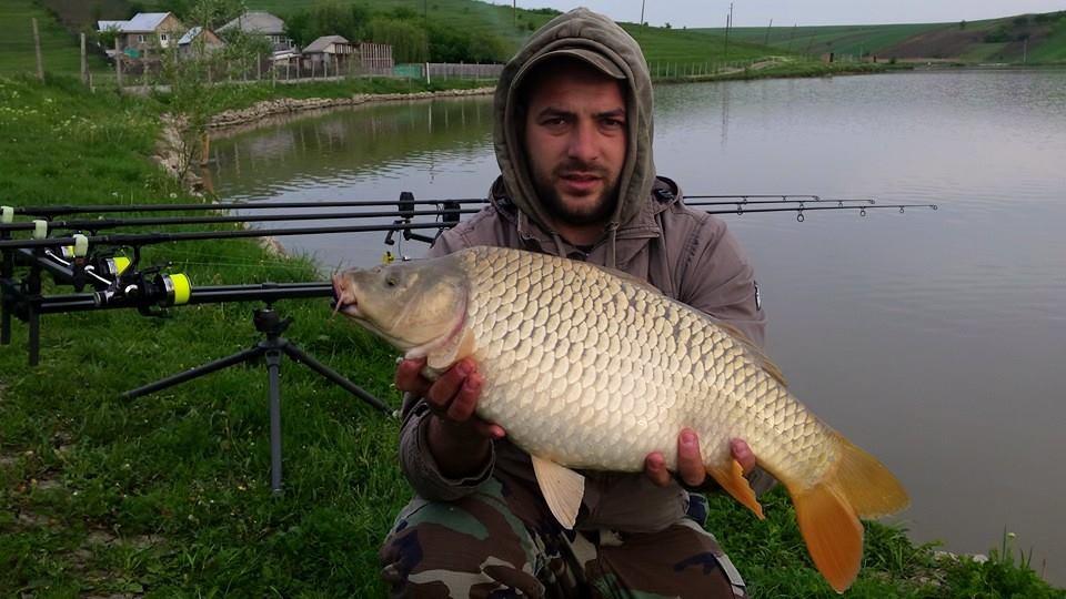 sergiu - 112031269389829927995981543234945906526441n.jpg